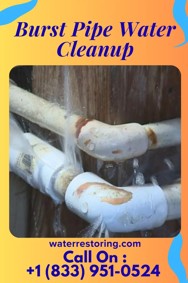 Burst Pipe Water Cleanup in Bexley, OH