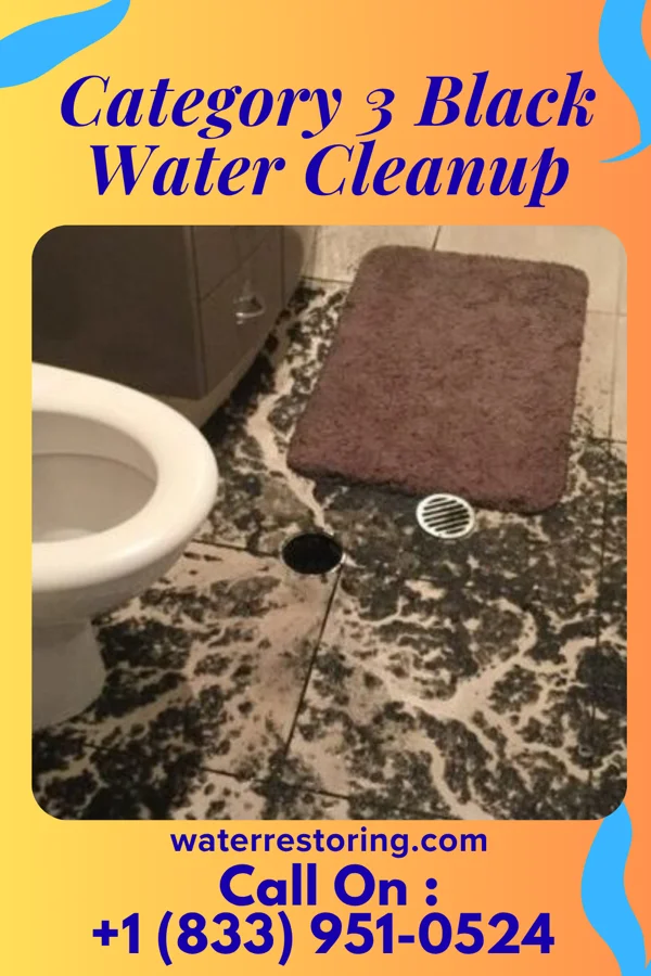 Category 3 Black Water Cleanup in Bexley, OH