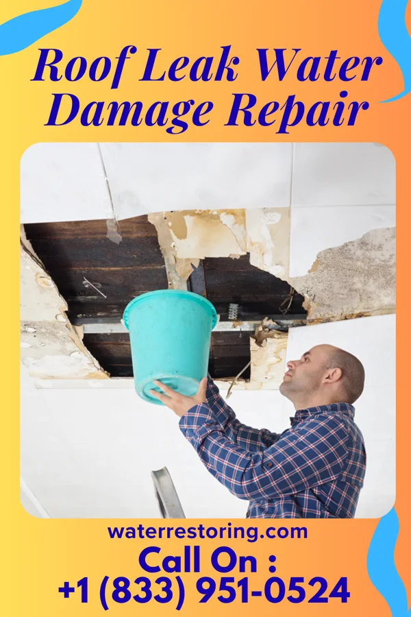 Roof Leak Water Damage Repair in Bexley, OH