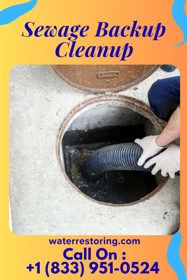 Sewage Backup Cleanup in Bexley, OH