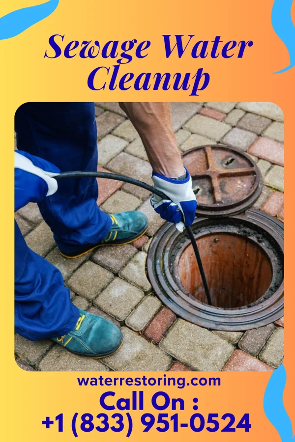 Sewage Water Cleanup in Bexley, OH