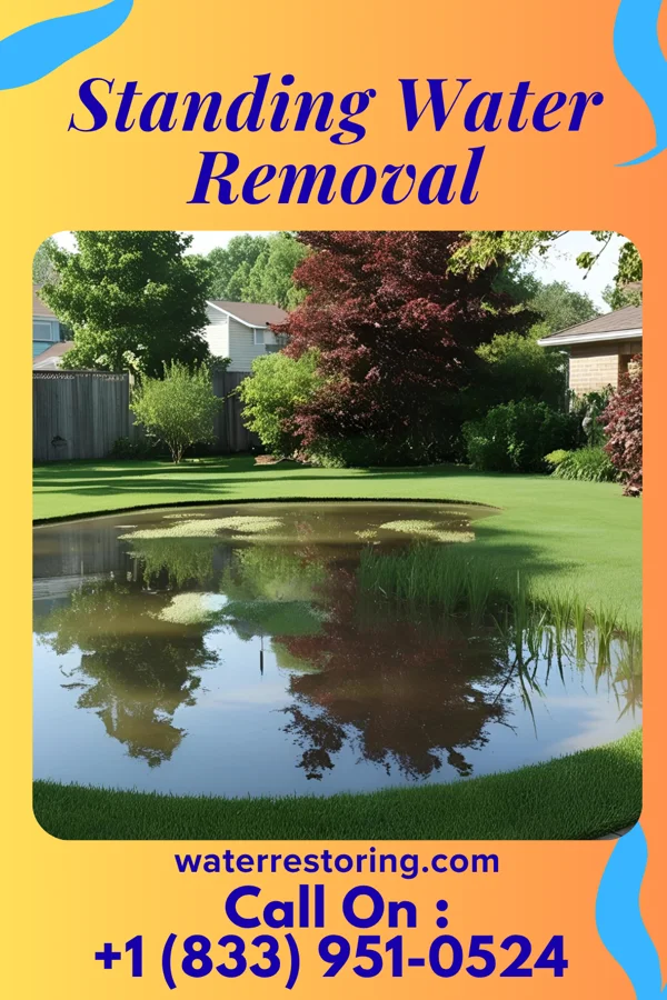 Standing Water Removal in Bexley, OH
